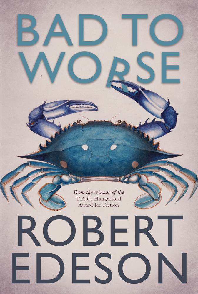 Bad to Worse book cover