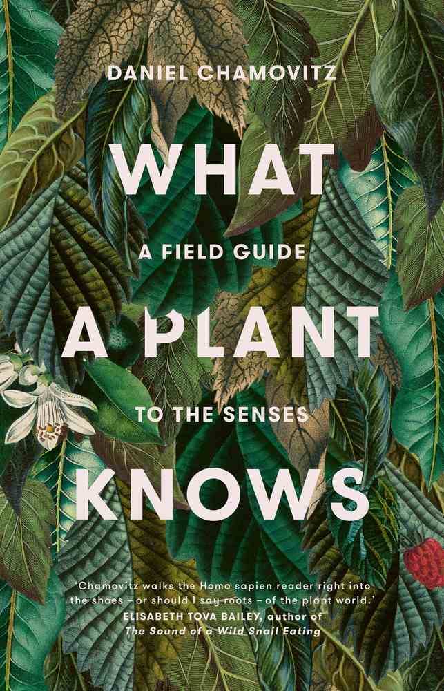 What a Plant Knows: A Field Guide to the Senses (Revised Edition) book cover
