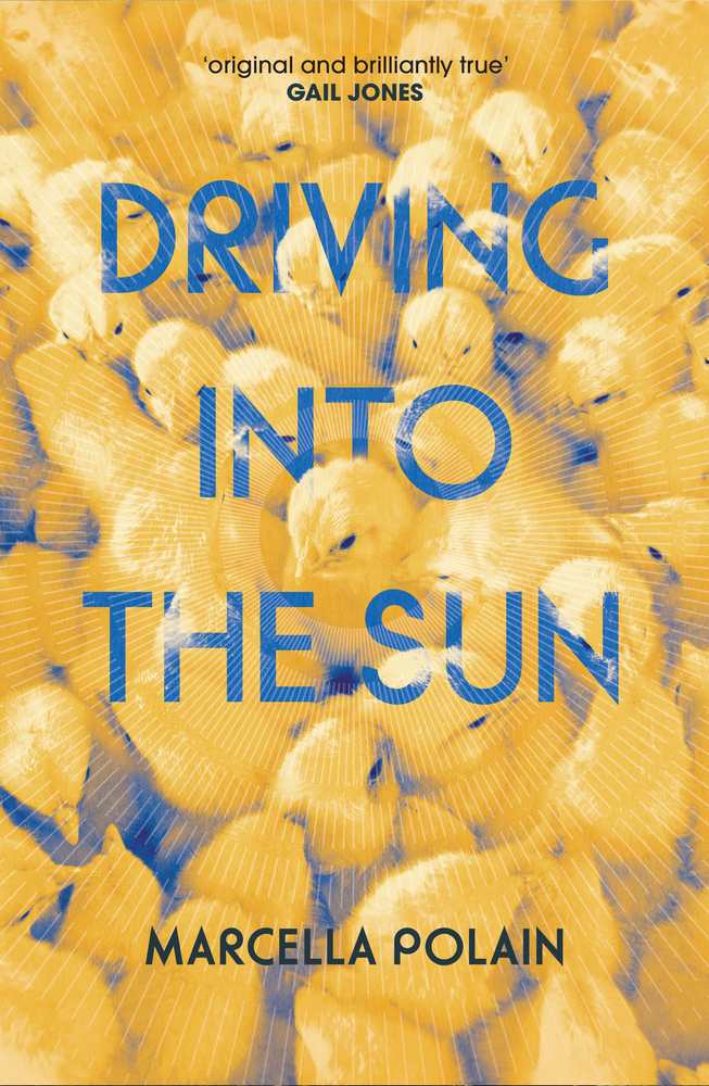 Driving into the Sun book cover
