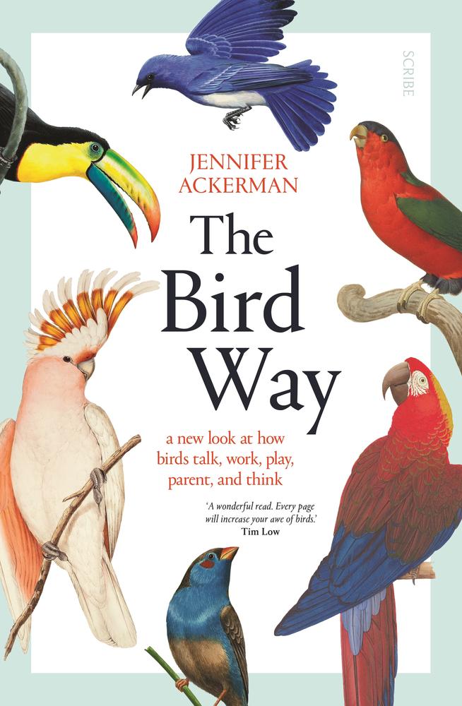 The Bird Way book cover