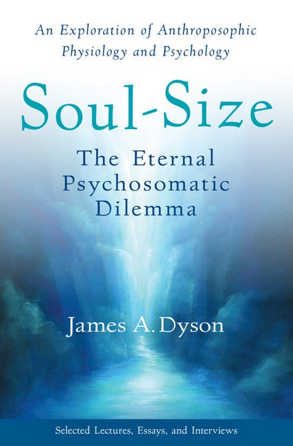Soul-Size cover