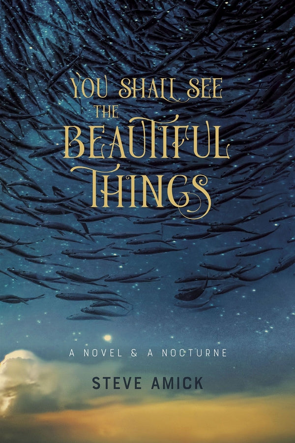 You Shall See the Beautiful Things: A Novel cover