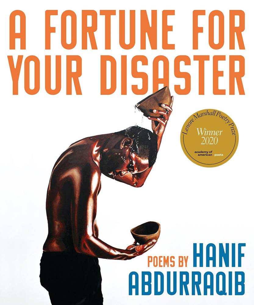 A Fortune for Your Disaster book cover