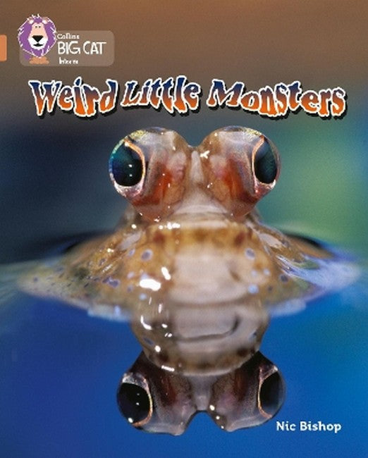 Weird Little Monsters cover