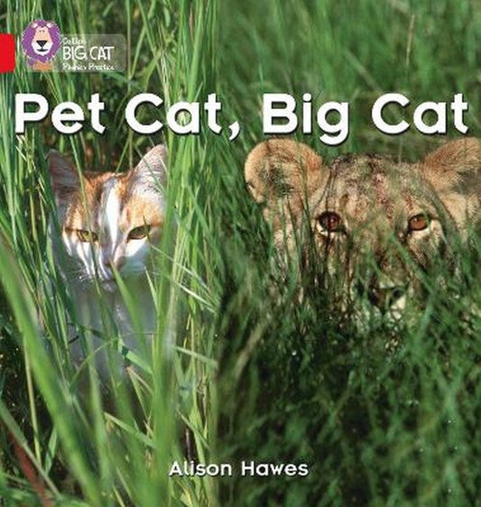 Pet Cat, Big Cat cover