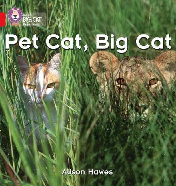 Pet Cat, Big Cat cover