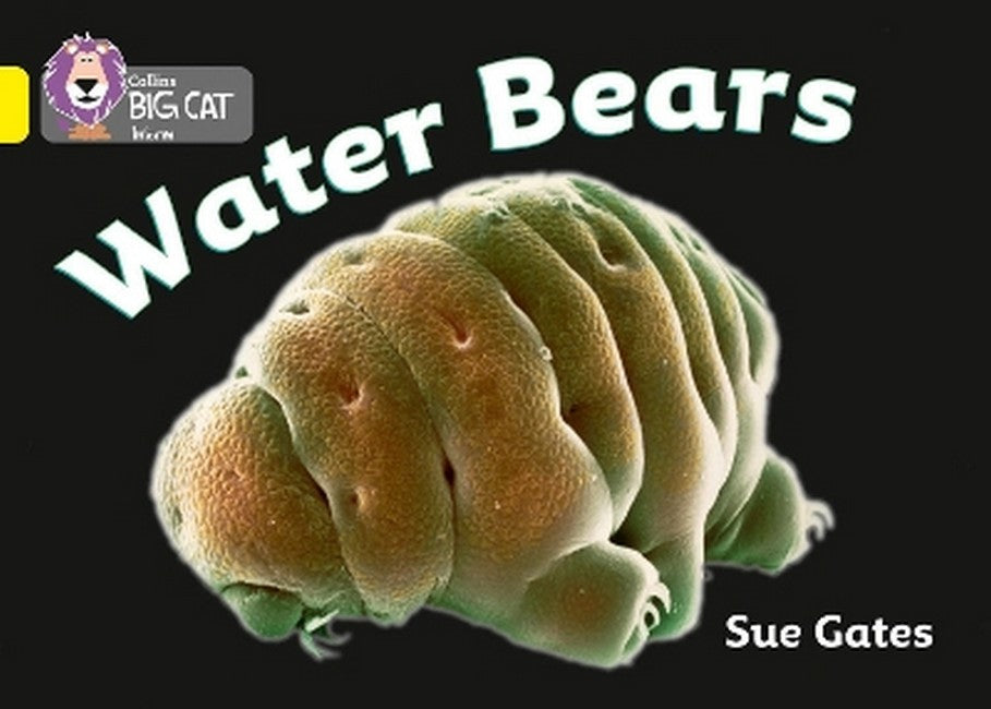 Water Bears cover