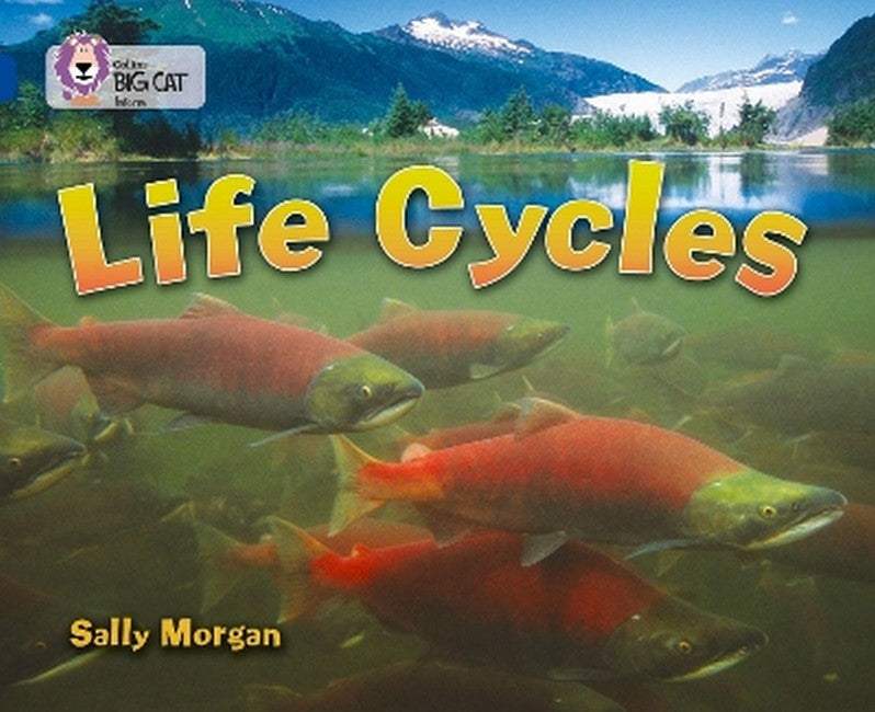 Life Cycles cover