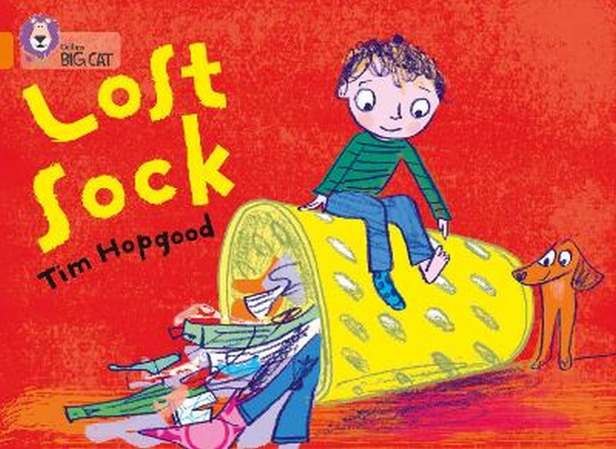 The Lost Sock cover