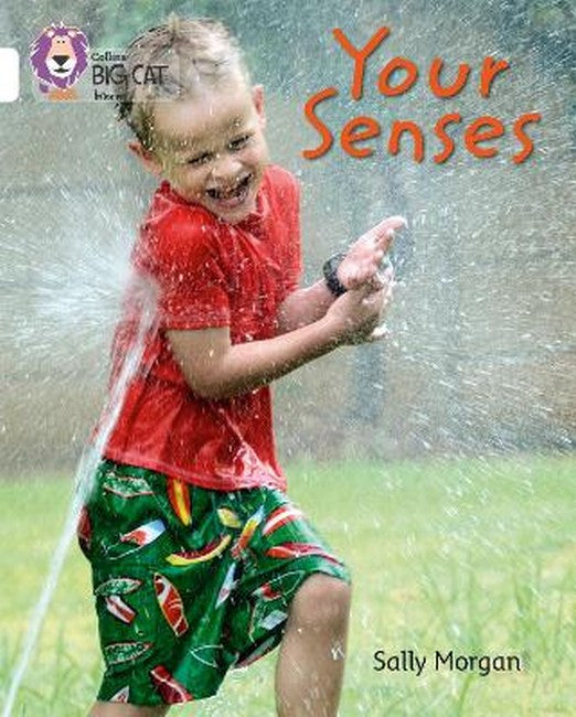 Your Senses cover