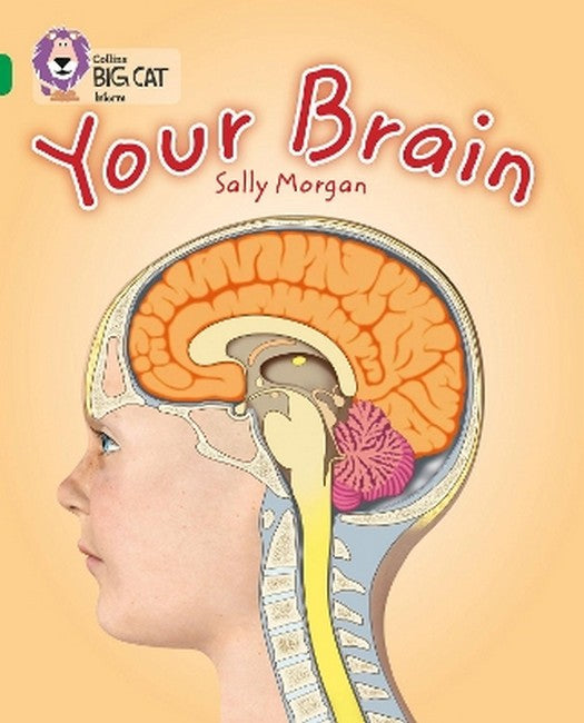 Your Brain cover