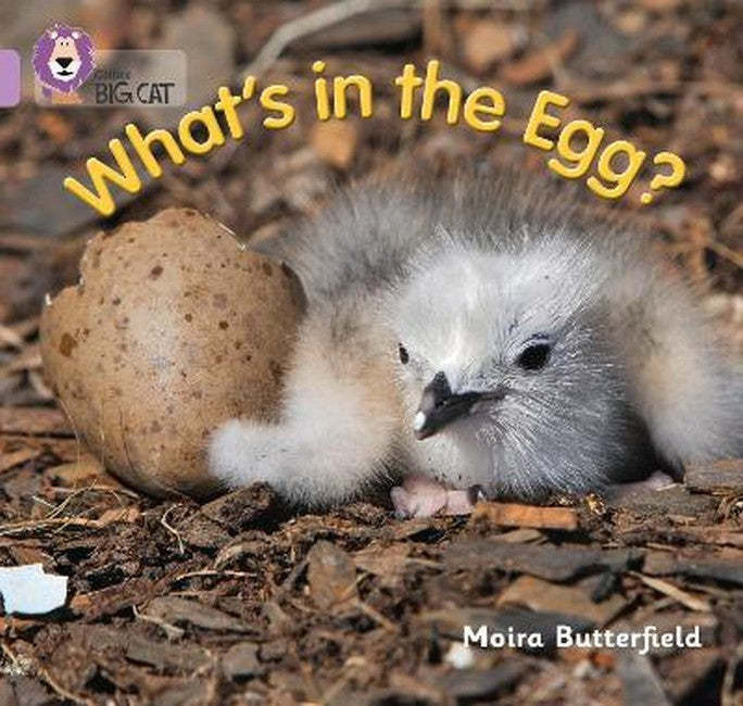 What's in the Egg? cover