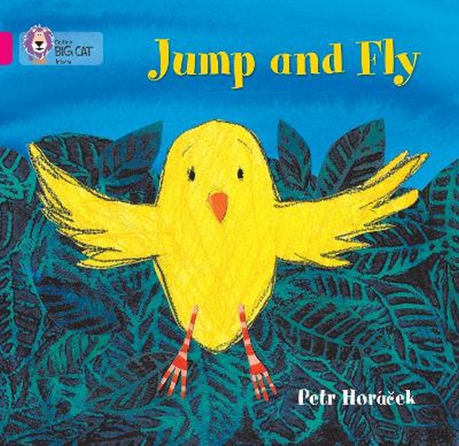 Jump and Fly cover
