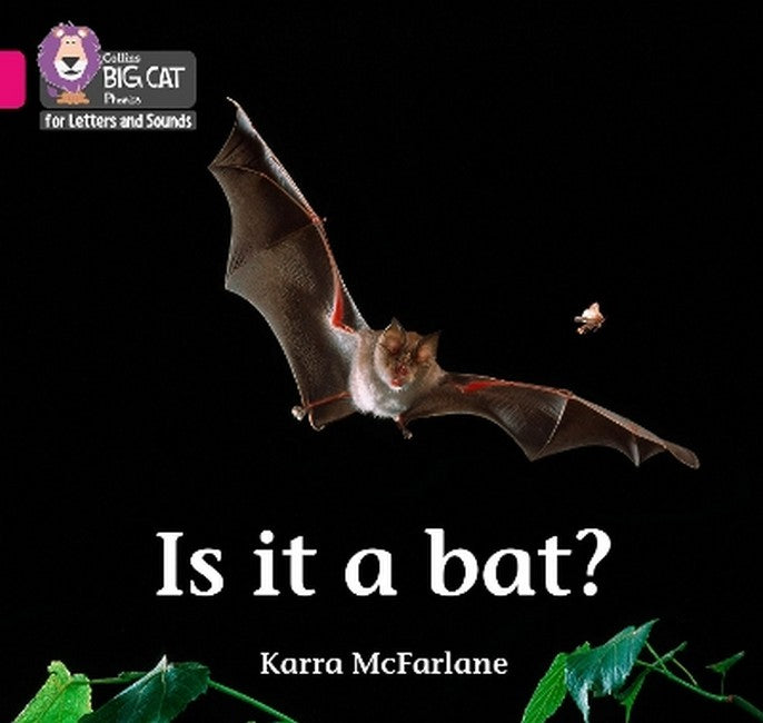 Is it a Bat? cover