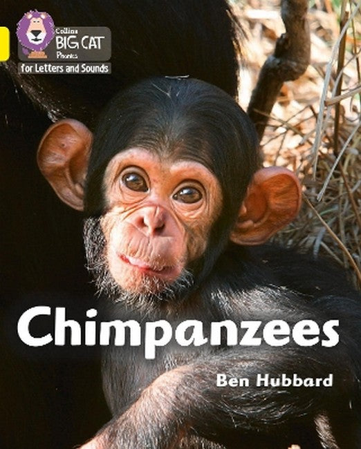 Chimpanzees cover