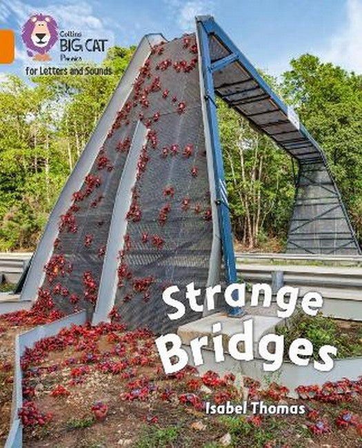 Strange Bridges cover
