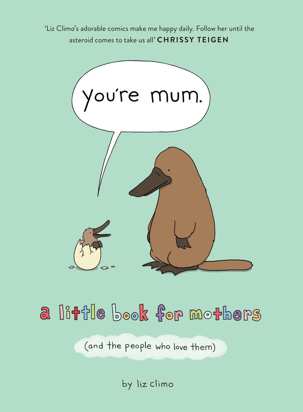 You're Mum: A Little Book For Mothers (And The People Who Love Them)