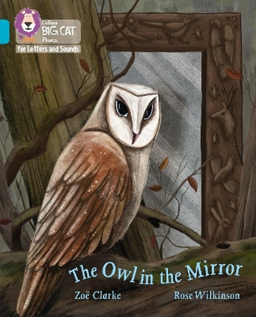 The Owl in the Mirror cover