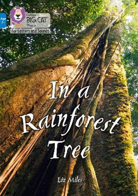 In a Rainforest Tree cover