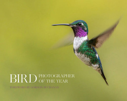 Bird Photographer Of The Year - Bird Photographer Of The Year Collection 8
