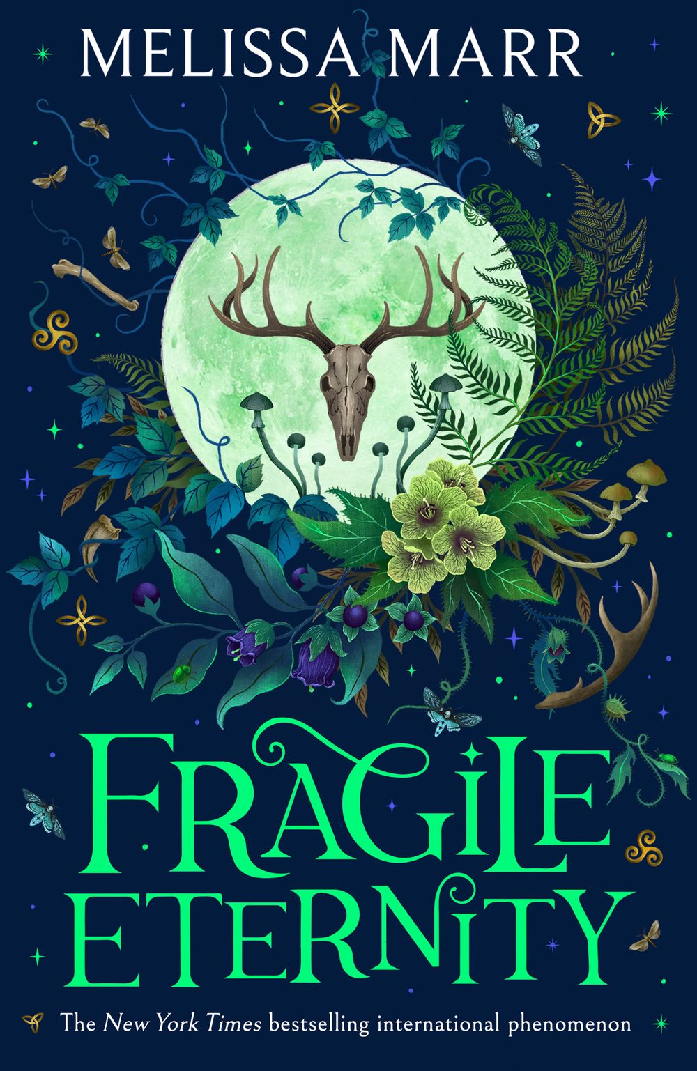 Fragile Eternity: Wicked Lovely #3