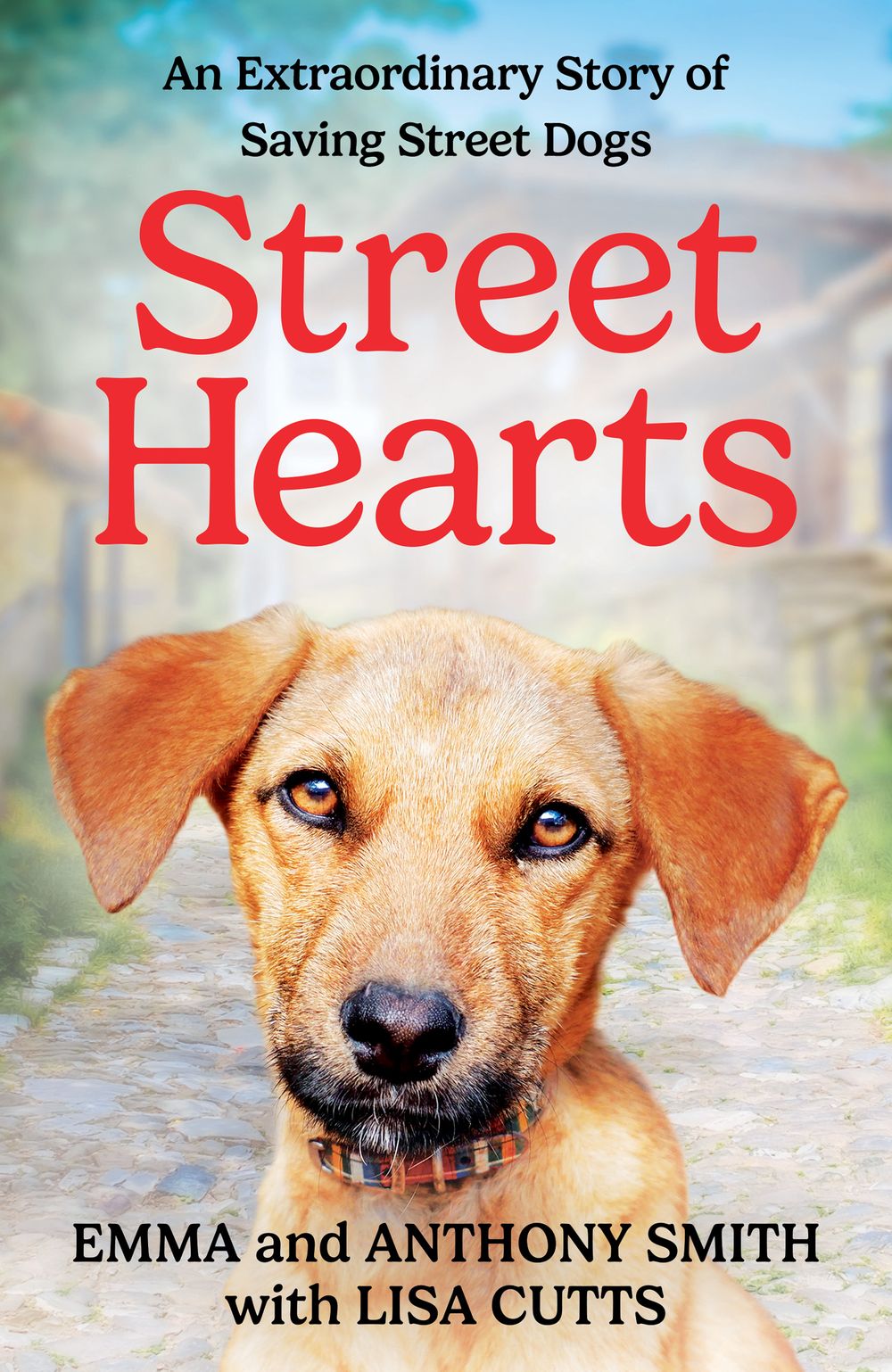Street Hearts: An Extraordinary Story Of Saving Street Dogs