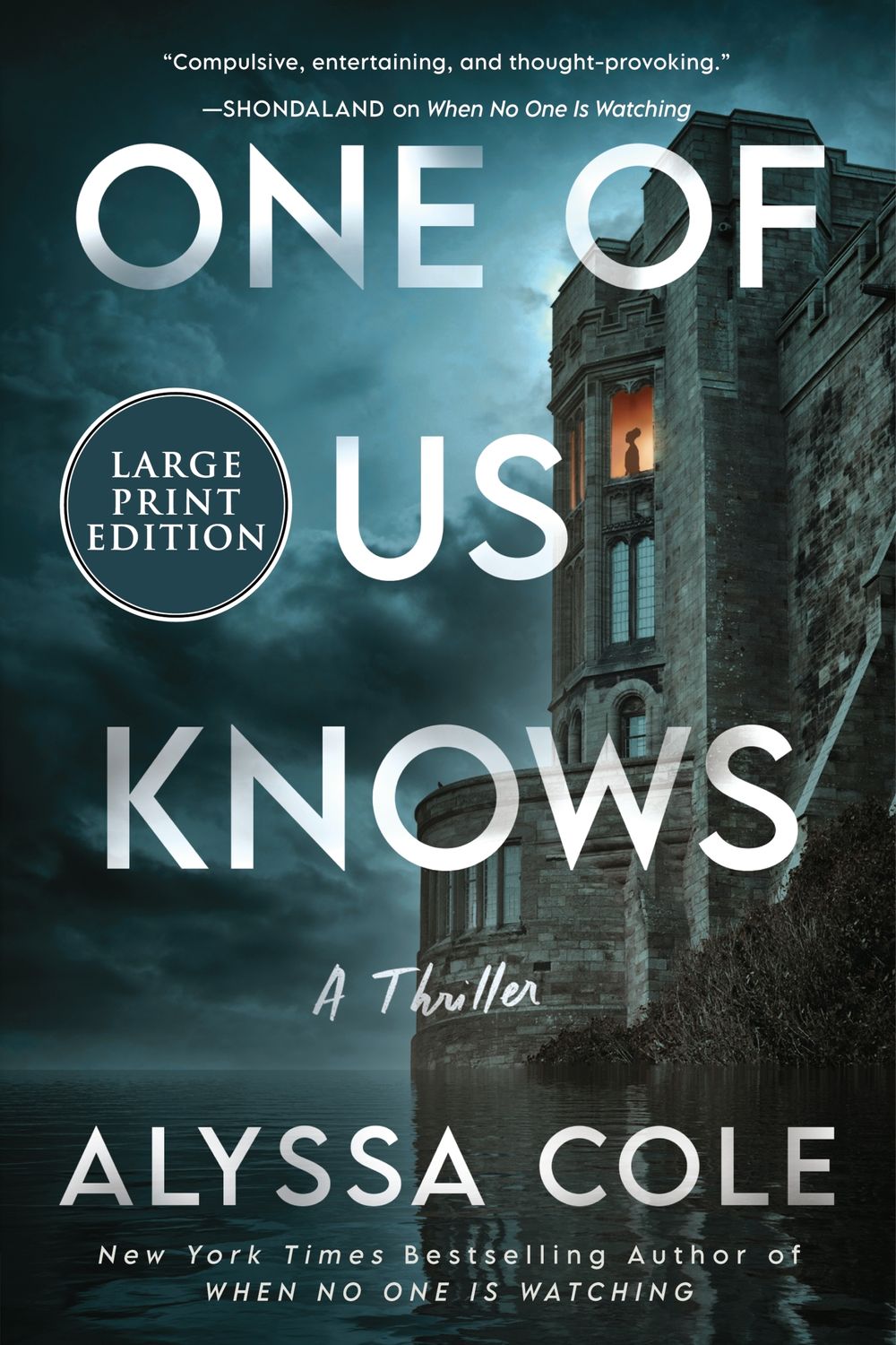 One of Us Knows [Large Print]: A Thriller