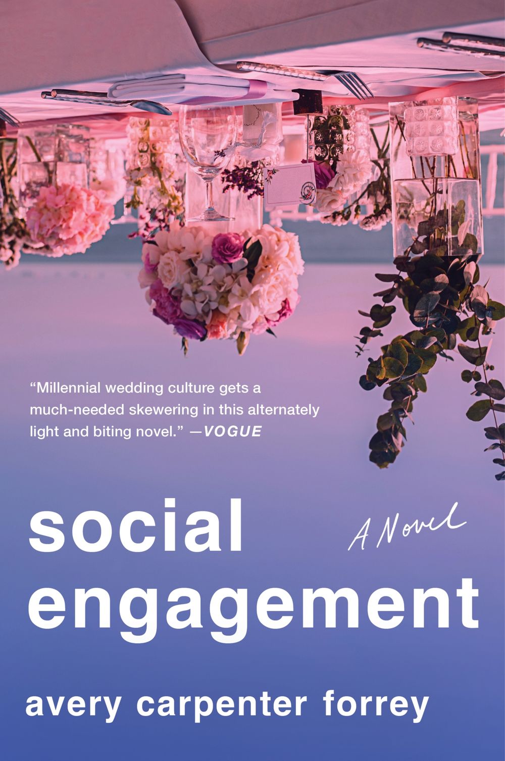 Social Engagement: A Novel