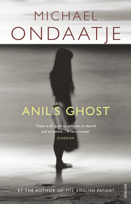 Anil's Ghost book cover