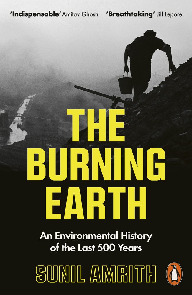 The Burning Earth book cover
