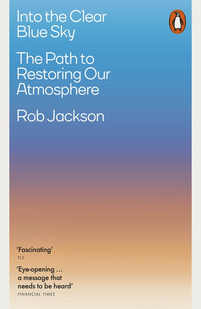 Into the Clear Blue Sky book cover