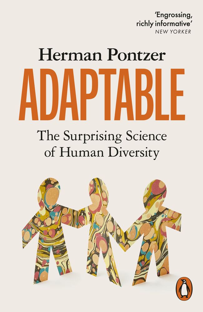 Adaptable book cover