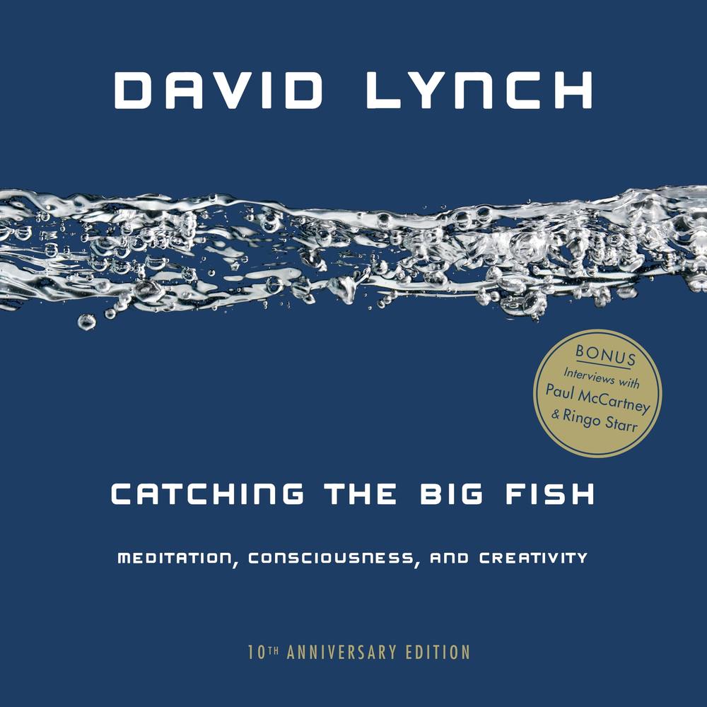 Catching The Big Fish book cover