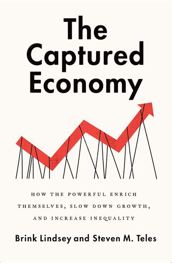 The Captured Economy book cover