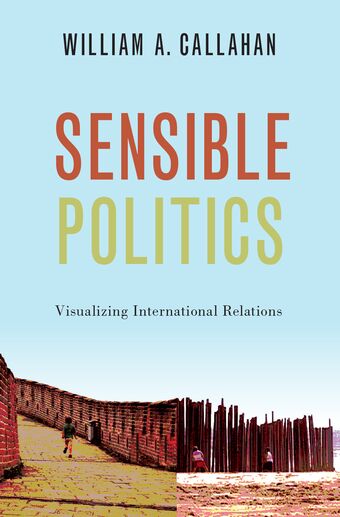 Sensible Politics book cover