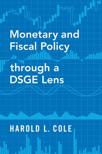 Monetary and Fiscal Policy through a DSGE Lens book cover