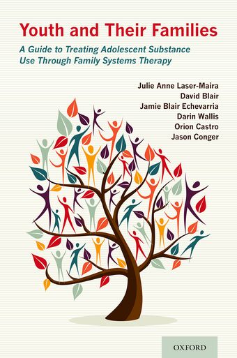 Youth and their Families book cover