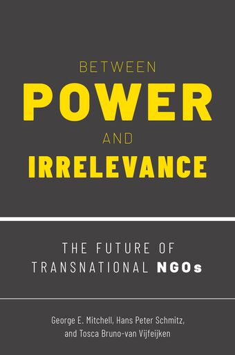 Between Power and Irrelevance The Future of Transnational NGOs book cover