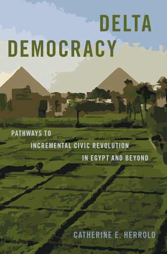 Delta Democracy book cover