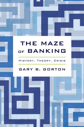 The Maze of Banking book cover