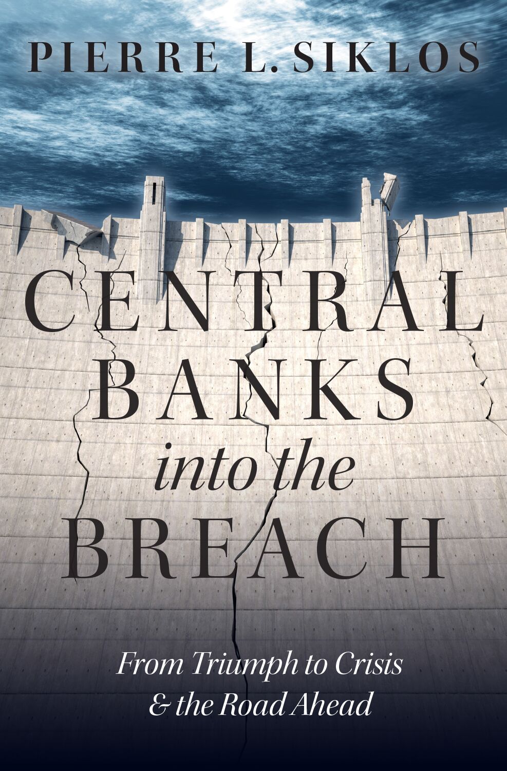 Central Banks into the Breach book cover