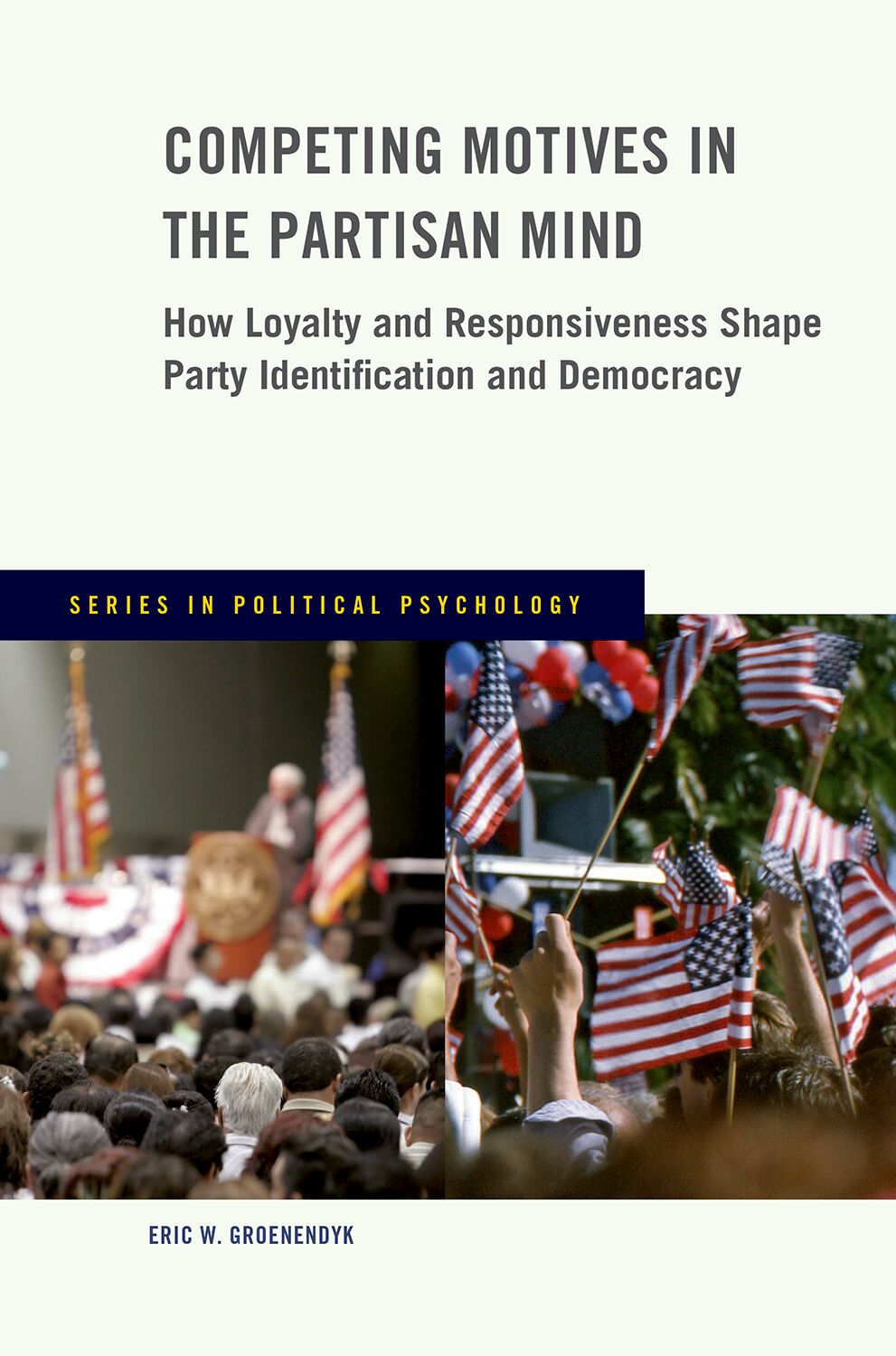 Competing Motives in the Partisan Mind book cover