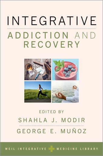 Integrative Addiction and Recovery book cover
