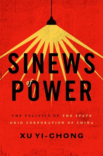 Sinews of Power book cover