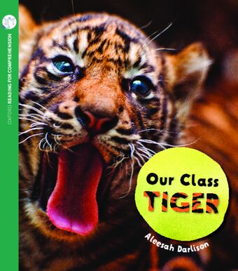 Our Class Tiger: Oxford Level 8: Pack of 6 book cover