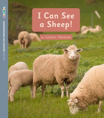ORFC Decodable Book 20 - I Can See a Sheep! Pack book cover
