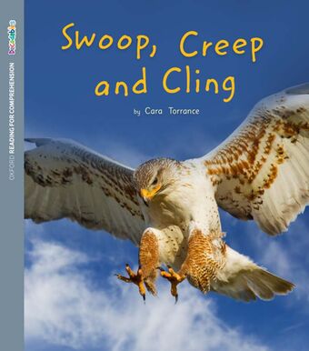 ORFC Decodable Book 32 - Swoop, Creep and Cling Pack book cover
