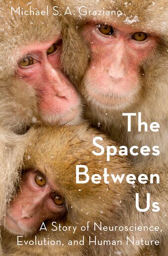 The Spaces Between Us book cover
