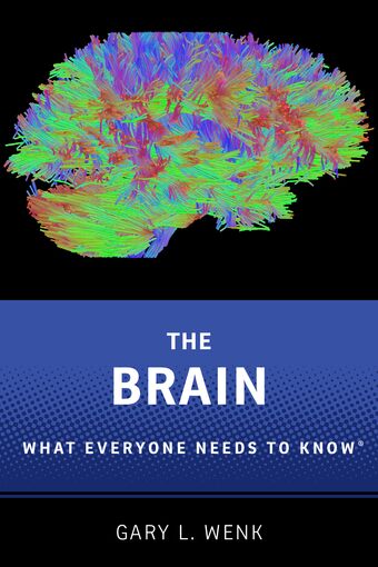 The Brain book cover