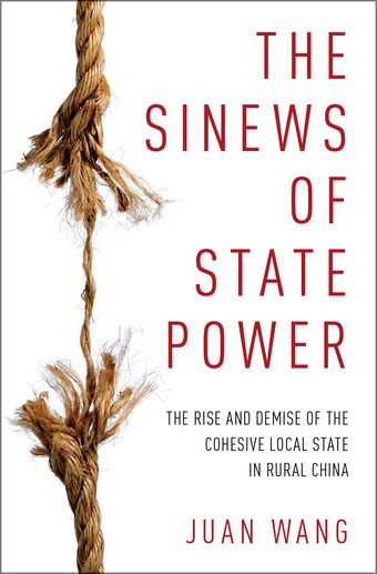 The Sinews of State Power book cover